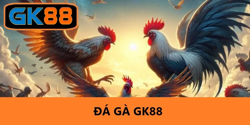 Đá Gà GK88 - Khám Phá Những Trận Đấu Hấp Dẫn Và Sôi Nổi