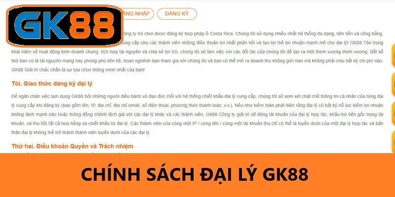 Chính sách của hệ thống